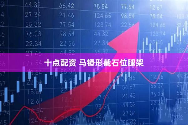 十点配资 马镫形截石位腿架