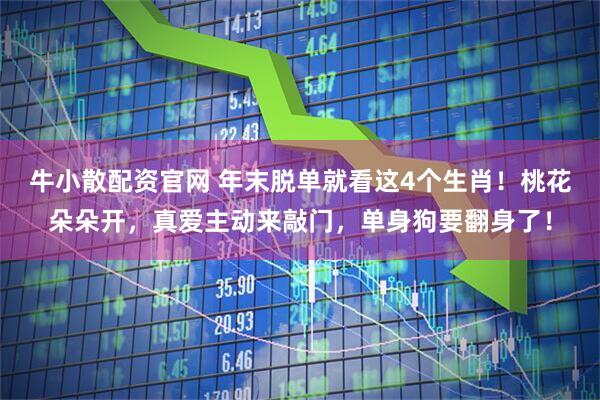 牛小散配资官网 年末脱单就看这4个生肖！桃花朵朵开，真爱主动来敲门，单身狗要翻身了！