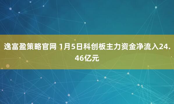 逸富盈策略官网 1月5日科创板主力资金净流入24.46亿元