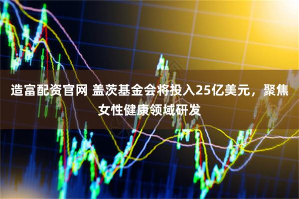 造富配资官网 盖茨基金会将投入25亿美元，聚焦女性健康领域研发